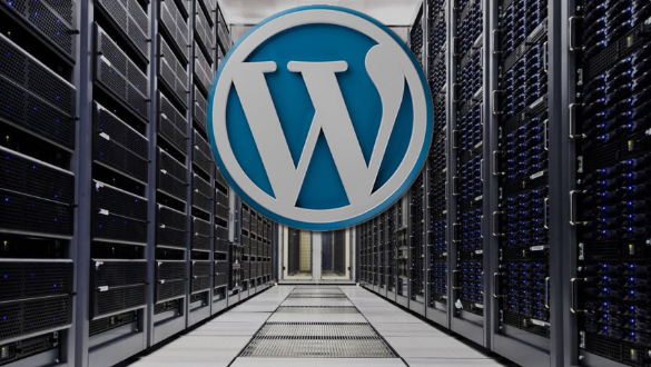 Freenginx’s Bold Move: Paving The Way For A New Era In WordPress Hosting